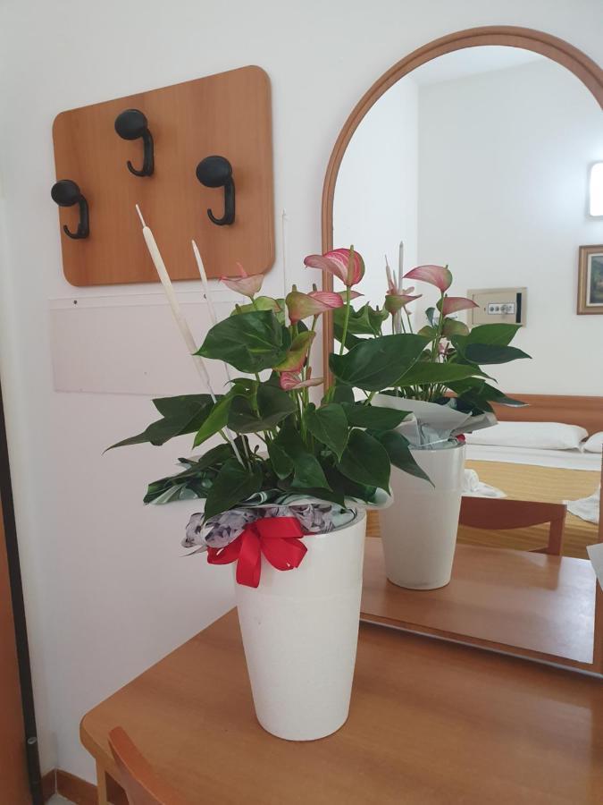 Hotel Venezia San Mauro Mare ภายนอก รูปภาพ